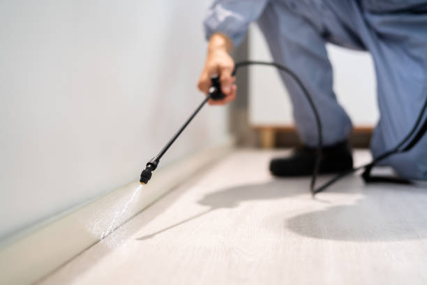 Licensed Pest Control service in Lineville, AL - Show Me Pest Control