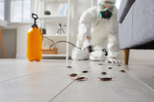 Commercial Kitchen Cockroach Control in Lineville